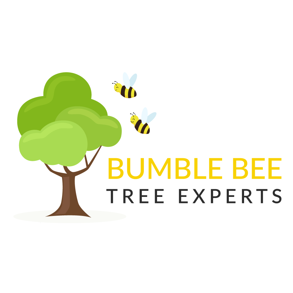 Bumblebee Tree Experts Longmont
